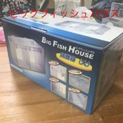 ビックフィッシュハウス「隔離箱」のサムネイル