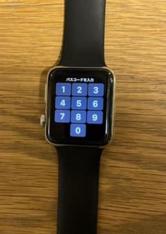 あやさん専用　Apple Watch シリーズ3 ステンレス　セルラー　42mmのサムネイル