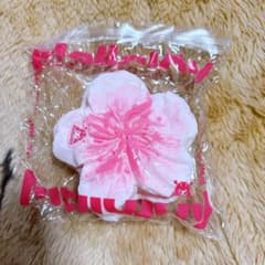 値下げ中 Mellojoy メロジョイ スクイーズ 桜 限定【まとめ売りok