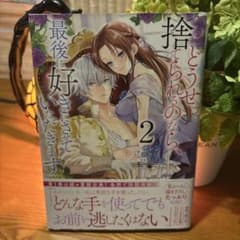 どうせ捨てられるのなら、最後に好きにさせていただきます 2 ZERO-SUM