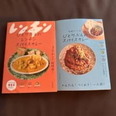 ひとりぶんのスパイスカレー 2冊セット 印度カリー子のサムネイル