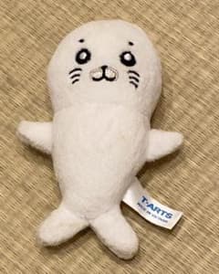 소년 아시베 참깨 짱 자석 길이 약 9cm