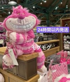 상하이 디즈니 한정 체샤 고양이 숄더백 이상한 나라의 앨리스