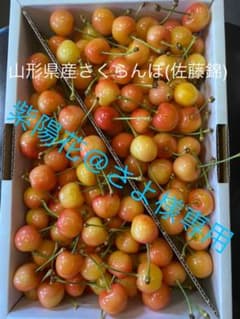 山形県産さくらんぼ 紫陽花@さよ様専用のサムネイル