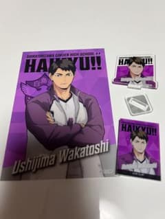 ハイキュー！！　牛島若利のサムネイル