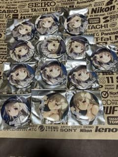 しらたま 星空鉄道とシロの旅 会場限定 カルハ 缶バッジ 13個 - メルカリ