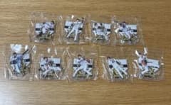 阪神タイガース 2025 JERA セ・リーグ優勝記念くじ アクスタ9個セット