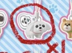 おぱんちゅうさぎとわんころ マスコット ペキニーズのサムネイル