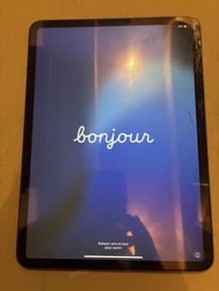 ジャンク品 iPad Pro 11 Wi-Fi 外箱・付属品付 MTXN2J/A - メルカリ