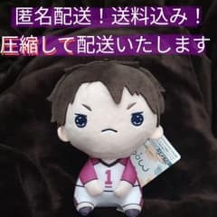 【匿名配送】タグ付未使用品　ハイキュー!!もちぴこぬいぐるみ　牛島若利