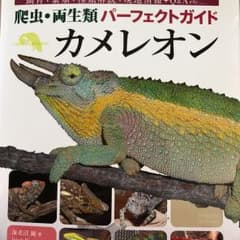 カメレオン/海老沼 剛のサムネイル