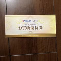 YAMADA HLDGS. お買物優待券 500円 10枚セットのサムネイル