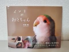 インコ写真集「インコのおとちゃん」のサムネイル