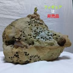 蜂の巣岩　¥1,900のサムネイル
