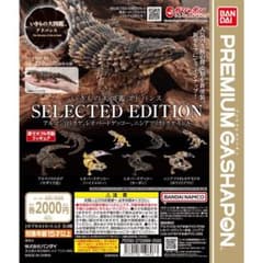 未開封！いきもの大図鑑　アルマジロトカゲ　ブラック　ガチャ　ガシャポンのサムネイル