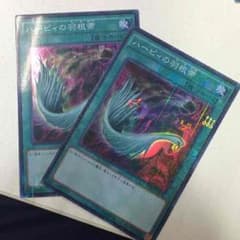 ハーピィの羽根帚のサムネイル