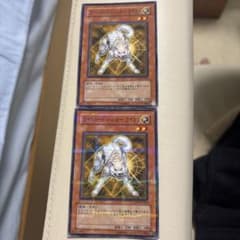 【即購入OK】世界に1枚　ライトロードハンター　ライコウ　パラレル　PSA10 遊戯王 ライトロード・ハンター ライコウ 2枚セット パラレル - メルカリ