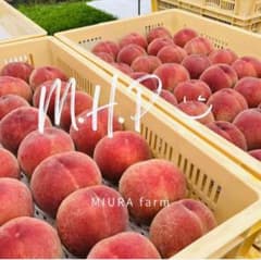 【山梨県産：桃】 ★ アウトレット品★ 3kg箱 農家直送のサムネイル
