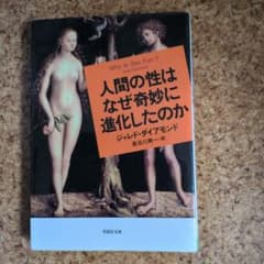人間の性はなぜ奇妙に進化したのかのサムネイル
