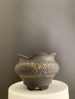 goujin 鉢 botanize 作家鉢 植木鉢 陶器鉢 塊根植物 アガベのサムネイル