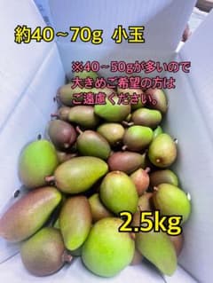 摘果マンゴー　20キロ 摘果マンゴー 20kg - メルカリ
