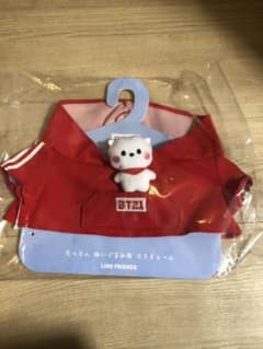 공식 BT21 탄톤 코스튬 RJ 파커 L 사이즈 봉제 용