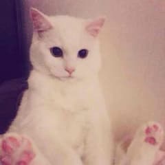 みき様専用ページのサムネイル