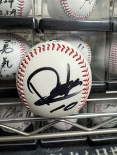 東京ヤクルトスワローズ 森岡良介 10 投げ入れ 投げ込み 直筆サイン