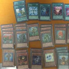 遊戯王 森羅のサムネイル