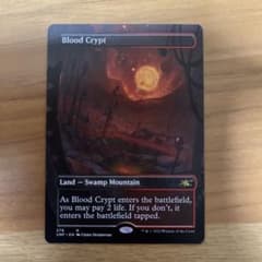 MTG 英語 unfinity アンフィニティ 血の墓所のサムネイル