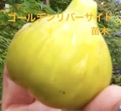 トシトシ様 リクエスト 2点 まとめ商品のサムネイル