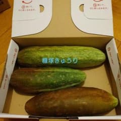 糠塚きゅうり、地きゅうり 3本のサムネイル