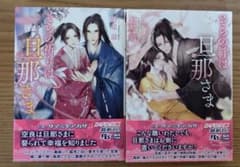「そらの祈りは旦那さま」「そらの絆は旦那さま」野原滋 【2冊セット】のサムネイル