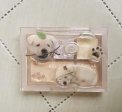 ⚠️お値下げ⚠️クリオ (うちのわんころ)キルカバーファウンウェアコンシルパレットのサムネイル