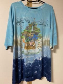 【XL】Disney vintageスプラッシュマウンテン Tシャツのサムネイル