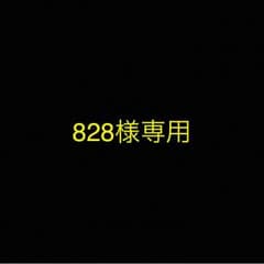 828様専用のサムネイル