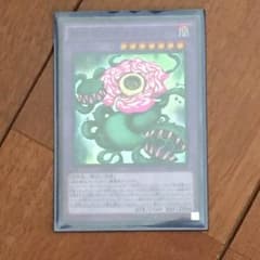 キメラフレシアのサムネイル