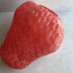 いちご飴　ヴィンテージ風ストロベリーガラスベース 大型花瓶 いちご飴 ヴィンテージ風ストロベリーガラスベース 大型花瓶 - メルカリ