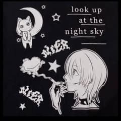 NieR 限定品 【black cotton T-shirt】のサムネイル