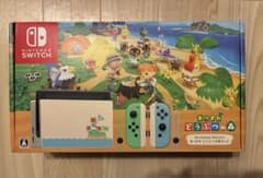 [덤 첨부]Nintendo Switch 얽혀 어른 숲 모델