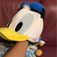 ドナルド ファンキャップ ディズニーのサムネイル