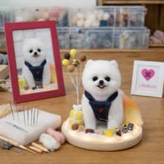 ポメラニアン 羊毛フェルト オーダーメイド 写真から制作のサムネイル