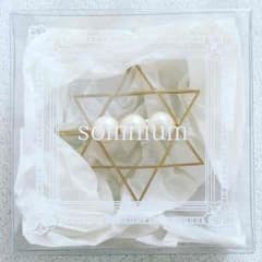 somnium ヘアピンのサムネイル