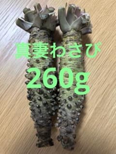 特選 真妻わさび大 静岡県富士伊豆修善寺産 135g③ - メルカリ