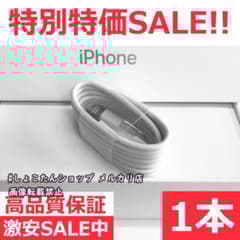 ipad 正規品 同等 充電機 ライトニング ケーブル 1本