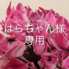 はらちゃん様専用 新品、未使用お香セットのサムネイル