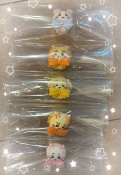 [5 점 세트] 치이카와 깜짝 달걀 시사 & 헌책 가게 & 토끼 & 치이카와