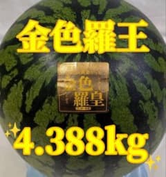 666匿名発送！千葉県産　金色羅皇スイカ　高糖度　4.388kg１玉のサムネイル