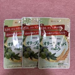 漢方セレクト 和漢の森 オリーブ ギャバ 60粒のサムネイル