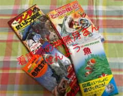 ミニ図鑑 魚 危険生物のサムネイル